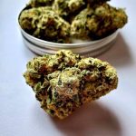 Buy Sour Diesel Strain