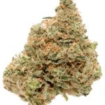 Buy Durban Poison Strain near me