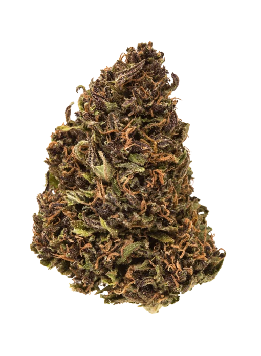 4a3345_a33ccc4cadec429199c961c9448eab40mv2_d_1200_1200_s_2-510x696-1.webp CAPTAIN JACK - Image 1