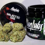 BISCOTTI X GUSHERS CONNECTED