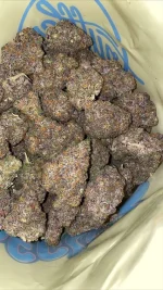 BLACK TRUFFLE STRAIN - Afbeelding 2