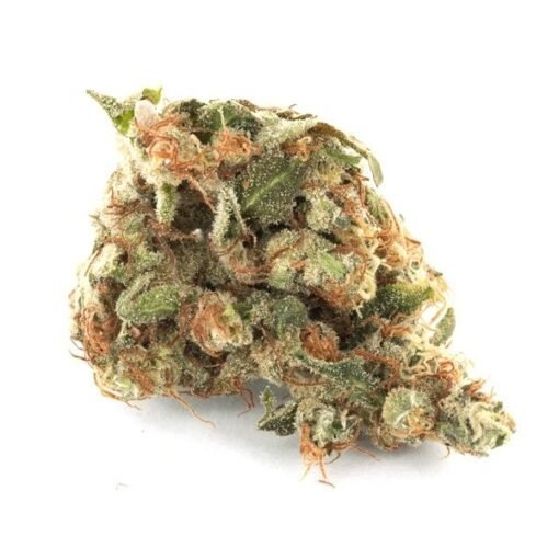 girl-scout-cookies-510x510-1.jpg Girl Scout Cookies Strain - Image 1